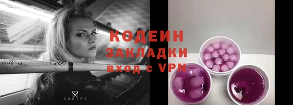 ECSTASY Алзамай