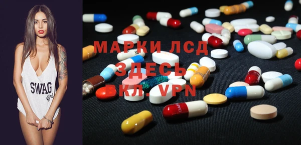 ECSTASY Алзамай